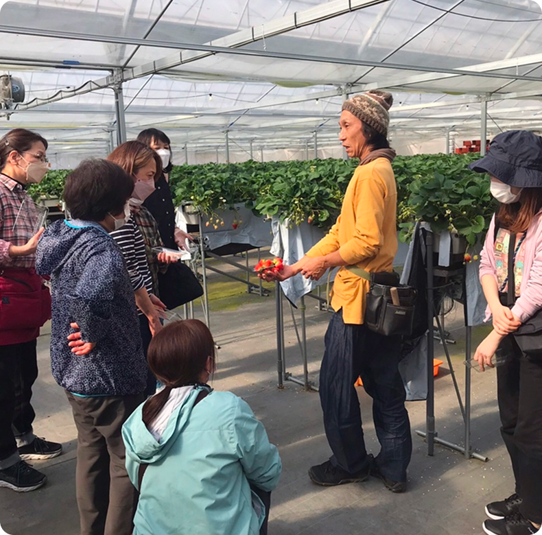 いちご狩りをしている様子