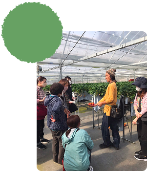 いちご狩りをしている様子