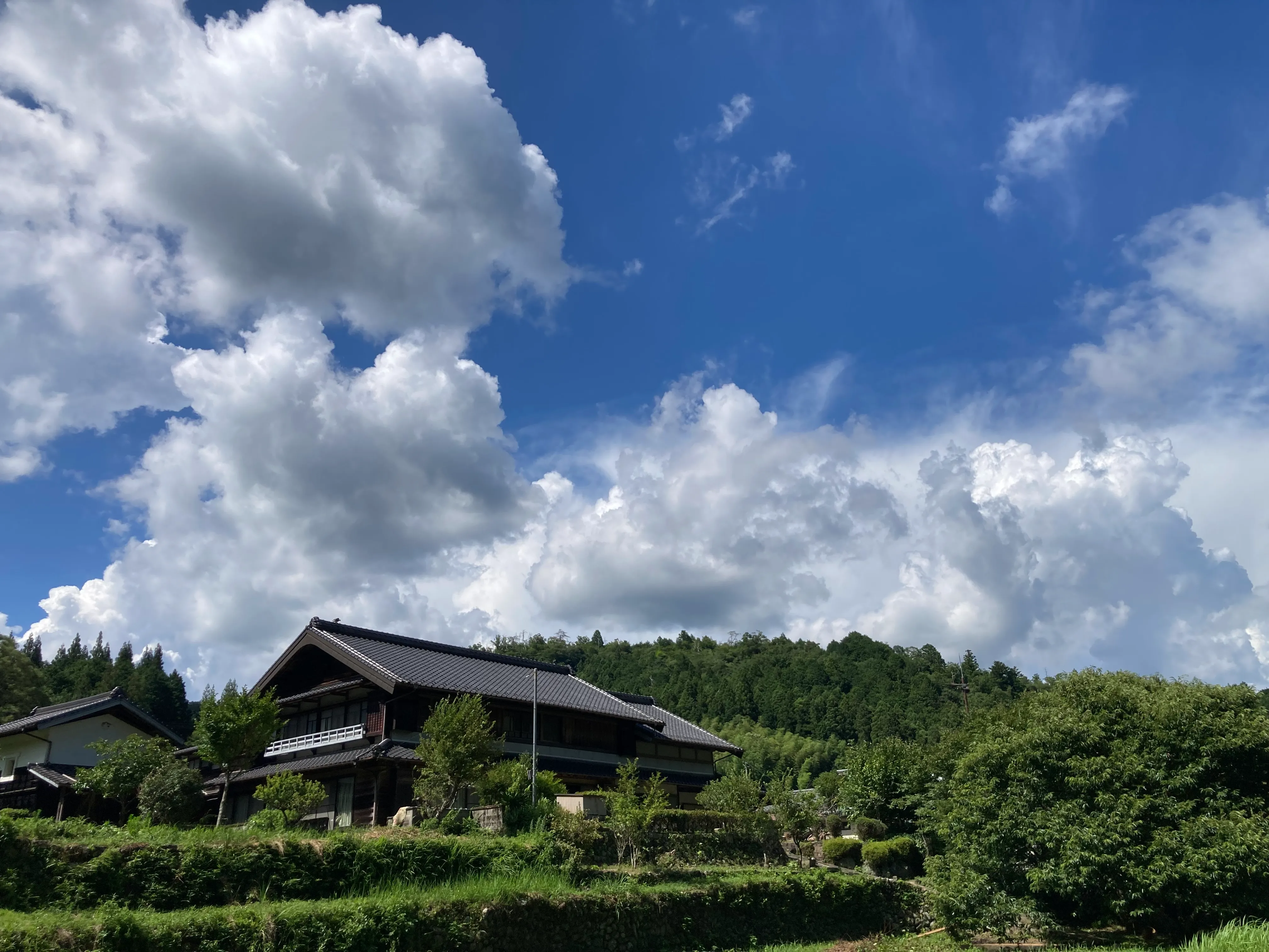 奥三河の自然を次世代へとつなぐ活動